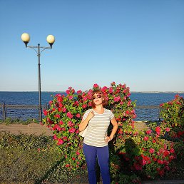 , 55, 