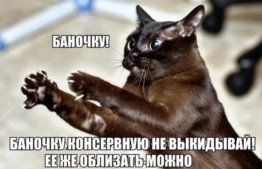    - 20  2022  14:17