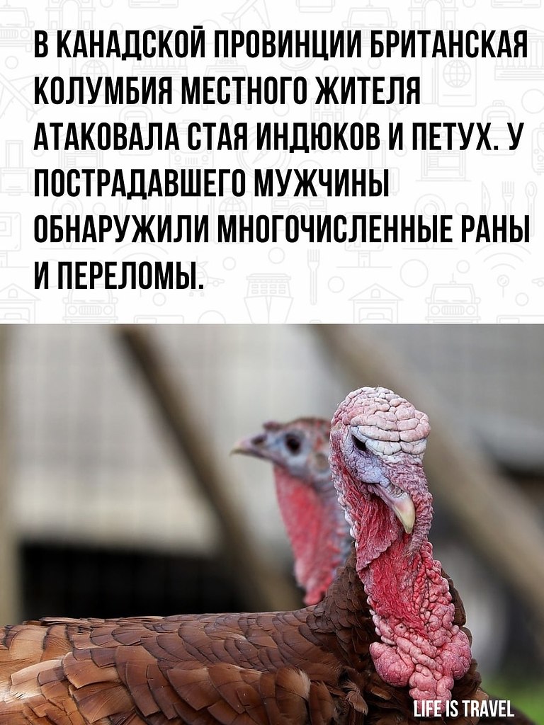      . - 2