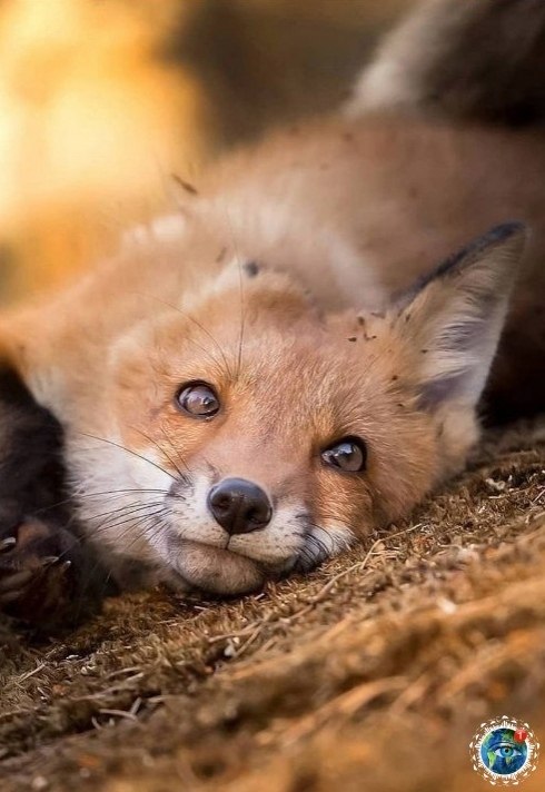 cea ec, a o o o e...    - 2