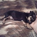 ���� ������-��-����, ������-��-����, 47 ��� - ��������� 9 ������� 2022 � ������ ���� ����������