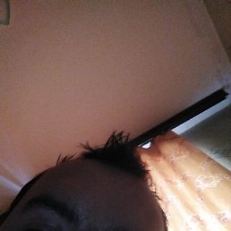 , , 37 
