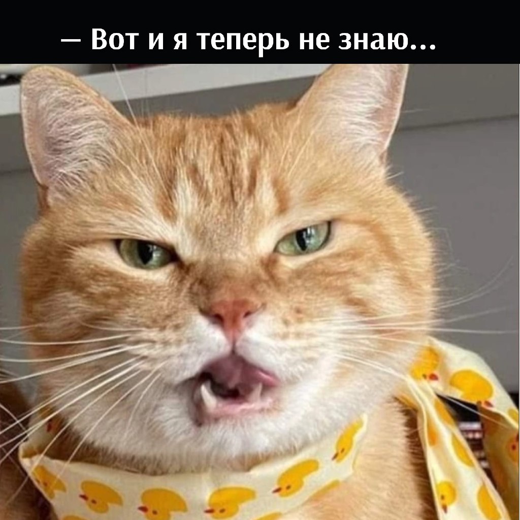       - 28  2022  16:03 - 5