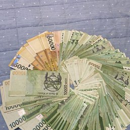 ���� �������, ������, 50 ��� - ��������� 28 ������� 2022