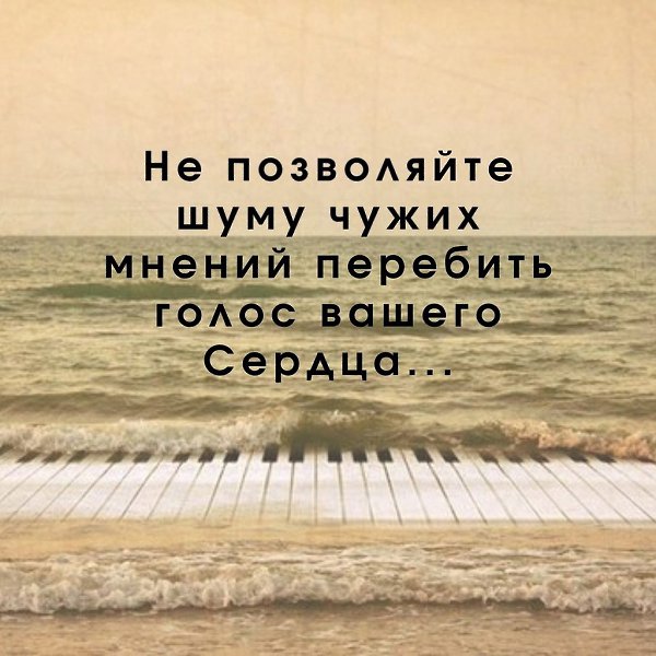   -  ,  -  - 6  2022  22:26
