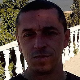 ������, ������, 43 ����