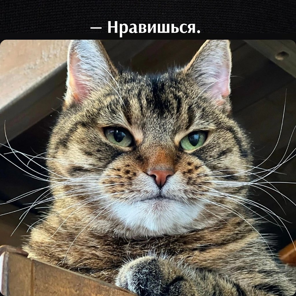       - 11  2022  11:10 - 3