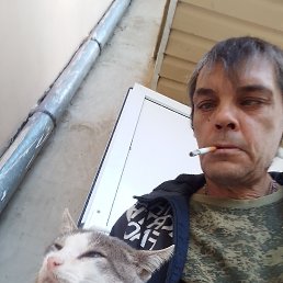 ���� ���, ������, 55 ��� - ��������� 6 �������� 2022