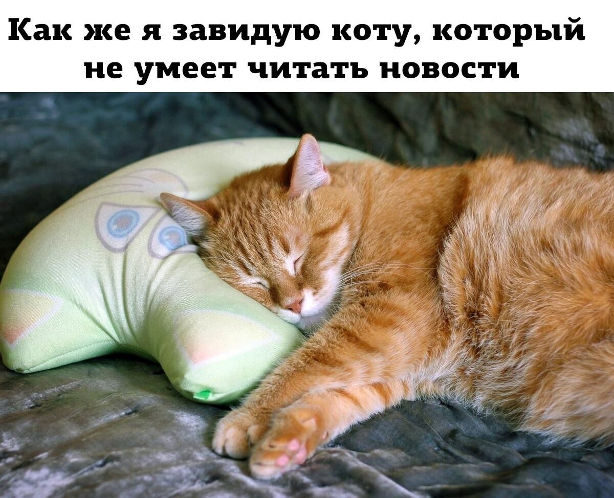 :