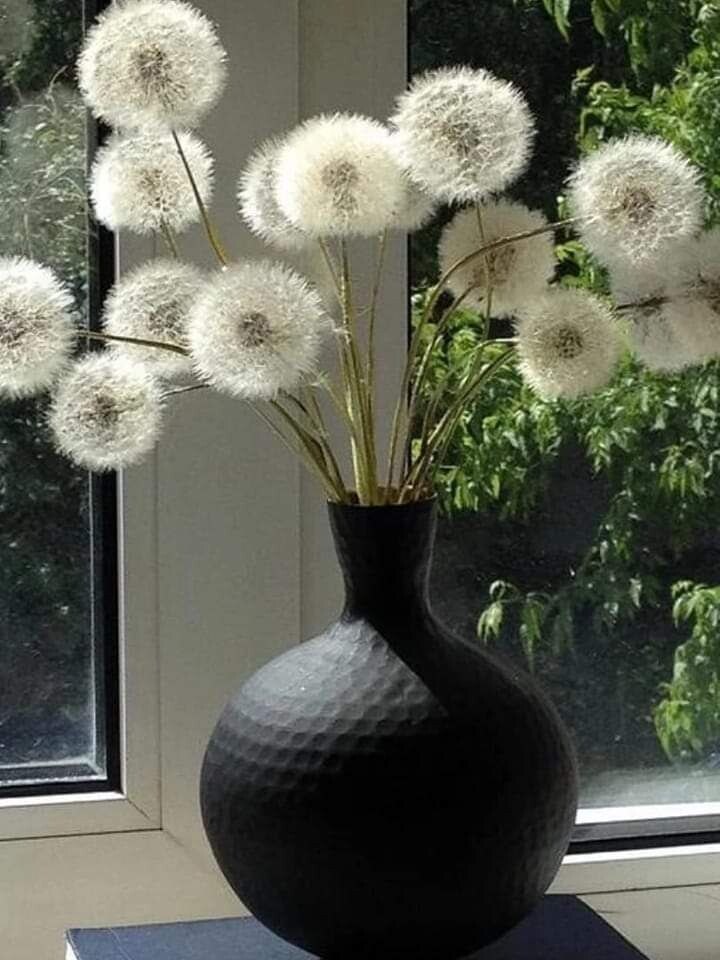 ..,    ,   ...    ...   ...