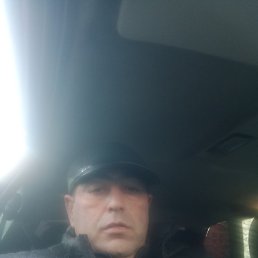 , , 44 