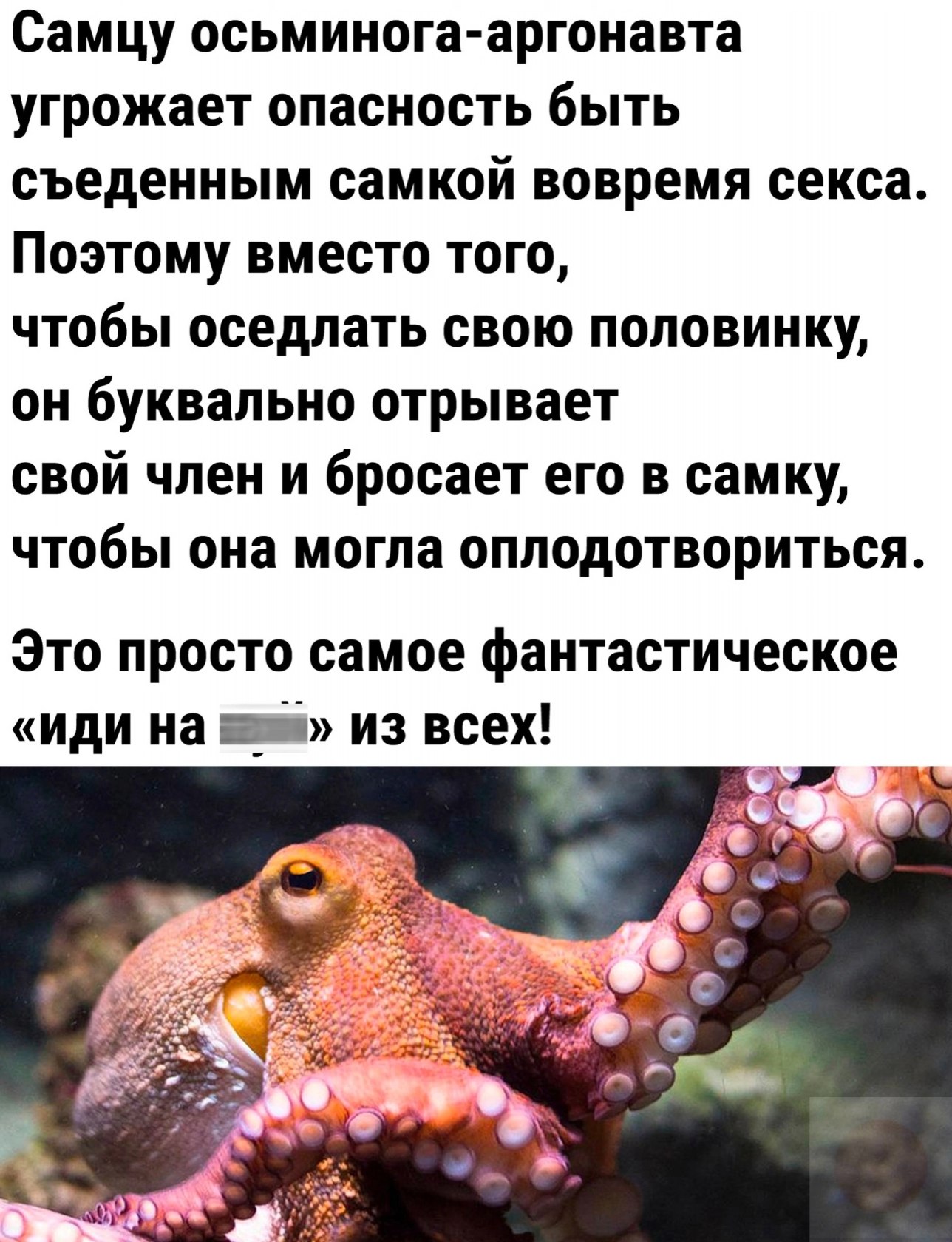 ***Victoria Viktorovna*** - 17  2022  04:41