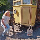  , , 56  -  29  2022   - 2022