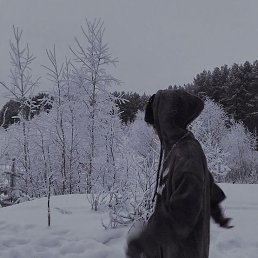 ���� ����, ����������, 46 ��� - ��������� 4 ������ 2023