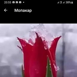 . , , 37 