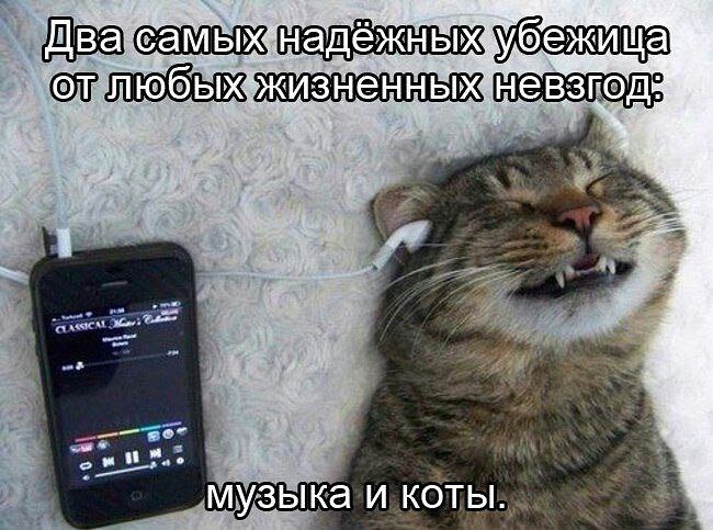   - 3  2022  20:55