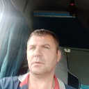  ,  (), 50  -  31  2022    
