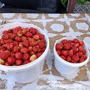 ���� ������, ���������, 62 ���� - ��������� 13 ������ 2023 � ������ ���� ����������