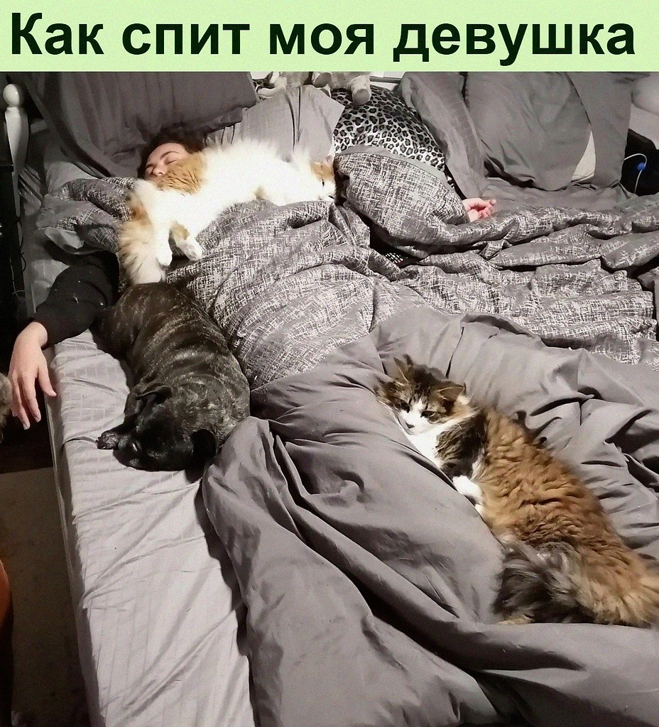 . 100%   
