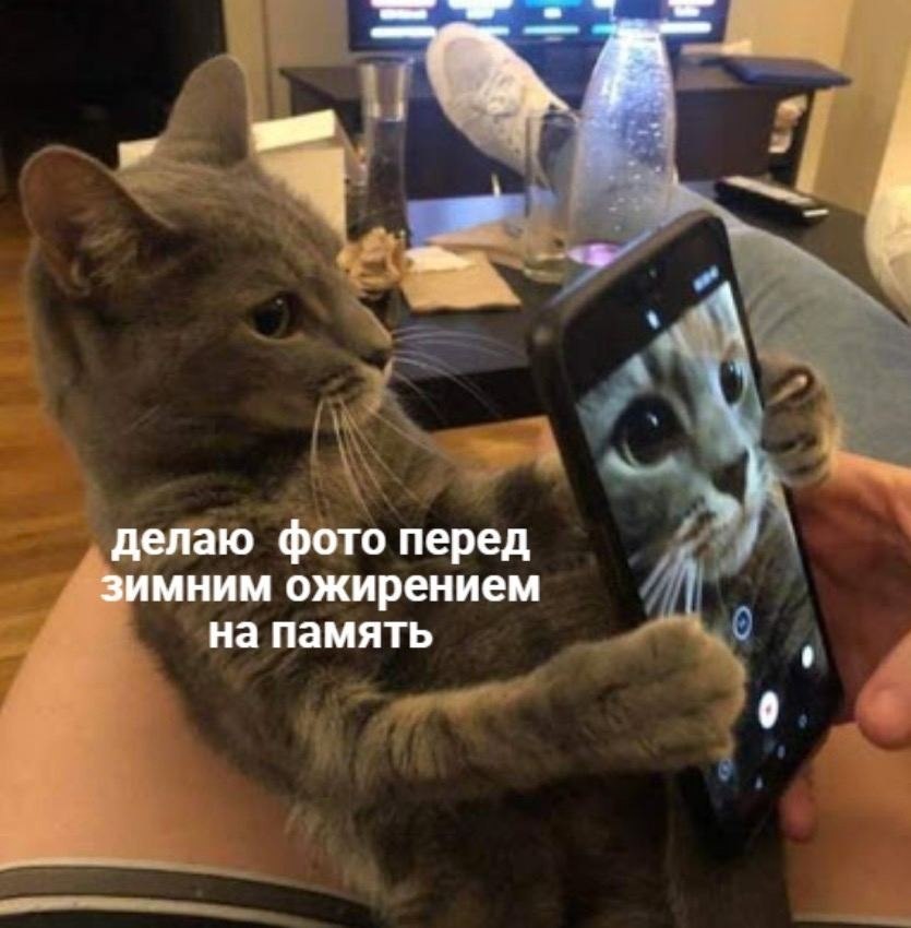 ��� �������� �������� - 26 ������ 2022 � 11:21