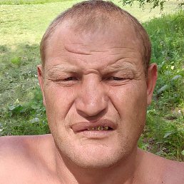 �����, ������, 41 ���