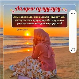 , , 53 