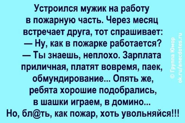  - 11  2022  15:04