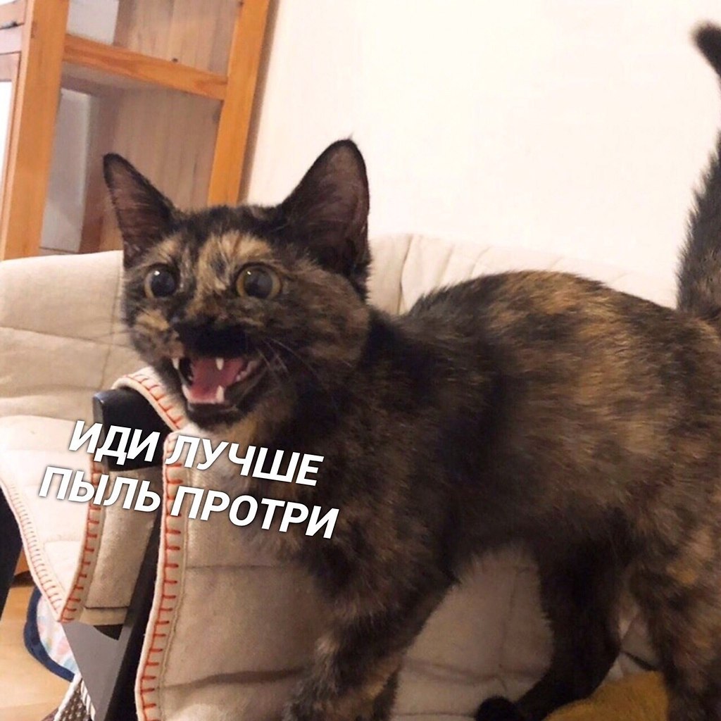  ) - 4