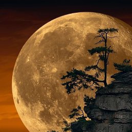 ����, �������, 45 ���