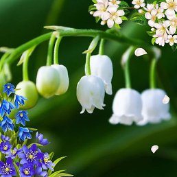 ��������, ��������, 58 ���