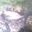 ���� �������, �������, 65 ��� - ��������� 9 ������� 2023