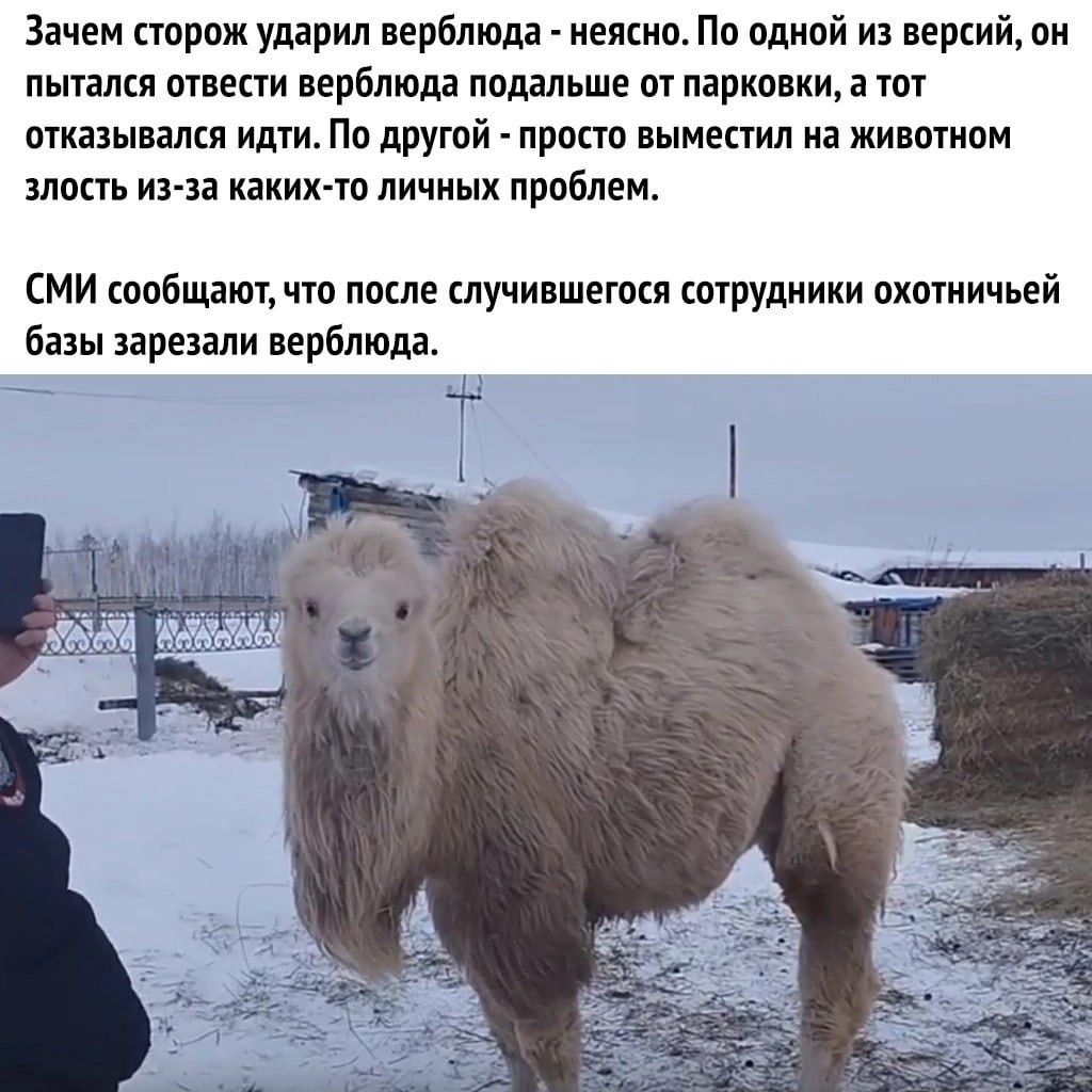   - 3