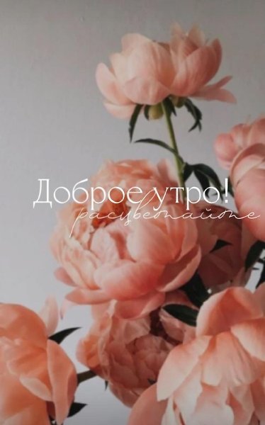***Victoria Viktorovna*** - 31  2022  04:07