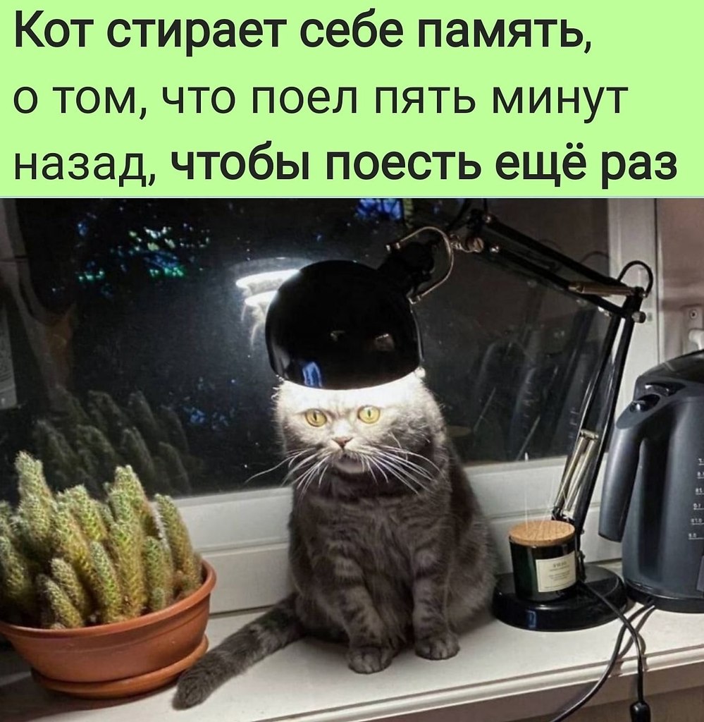   :D - 13  2022  09:15