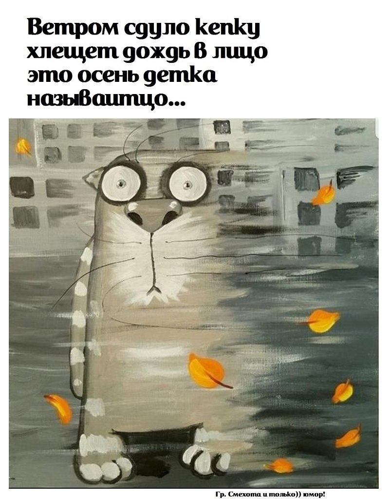  - 17  2022  23:41