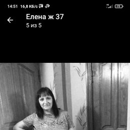 , 39, 