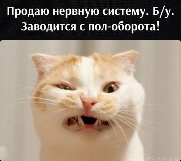 �������� ������� - 14 ������� 2022 � 16:14