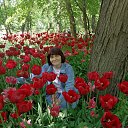 ���� �������, �����-���������, 55 ��� - ��������� 29 ���� 2022 � ������ ���� ����������