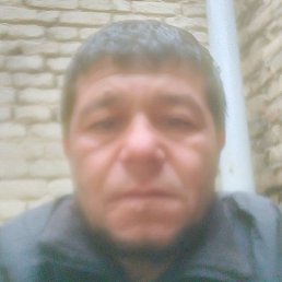 , , 54 