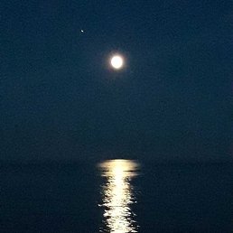 C�����, �����-���������, 57 ���