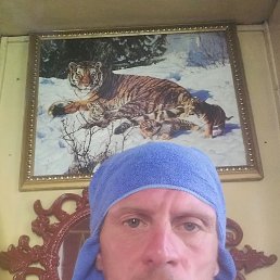 ���� ������, ������, 41 ��� - ��������� 16 ������� 2023