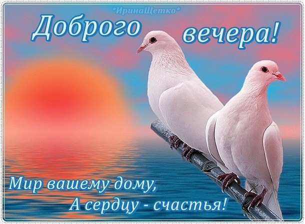   ,    . - 14  2022  20:27 - 7