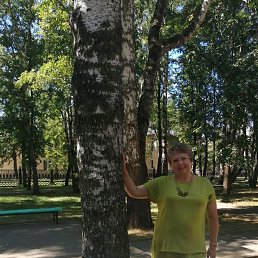 �����, ����-�����, 50 ���