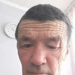 , 56 , 