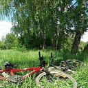 ���� �������, �����, 44 ���� - ��������� 13 ������� 2023