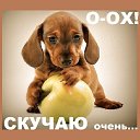 ���� Ba'h'to'v'a'r, ������, 29 ��� - ��������� 6 ������� 2023