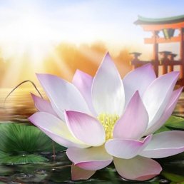 �������, ������, 44 ����