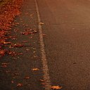 ���� ������, ����� - ��������� 16 ������� 2022 � ������ ���� ����������
