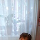 ���� ���������, ���� - ��������� 4 ������� 2022 � ������ ���� ����������