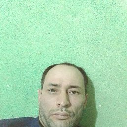 , 37, 